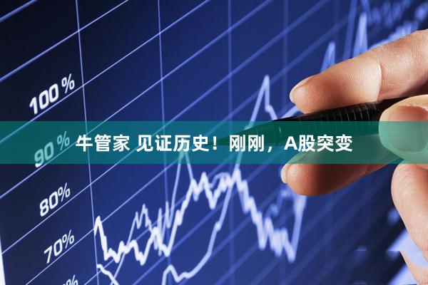 牛管家 见证历史！刚刚，A股突变
