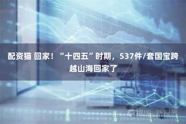 配资猫 回家！“十四五”时期，537件/套国宝跨越山海回家了