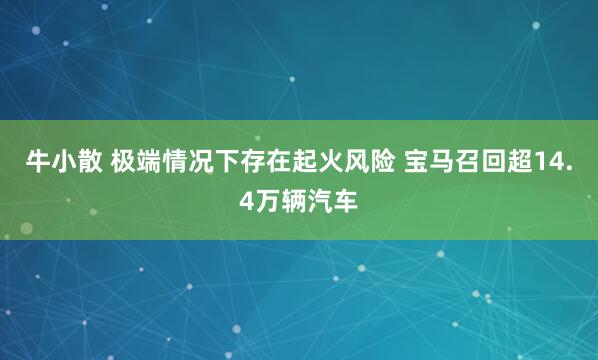 牛小散 极端情况下存在起火风险 宝马召回超14.4万辆汽车