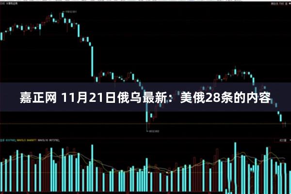 嘉正网 11月21日俄乌最新：美俄28条的内容